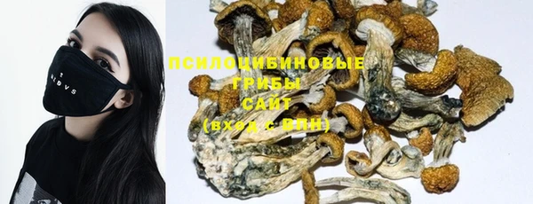 мяу мяу мука Рославль