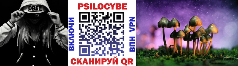 Купить закладки  Томмот  Псилоцибиновые грибы MAGIC MUSHROOMS 