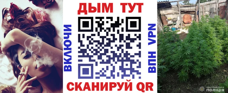 Бошки Шишки MAZAR Томмот